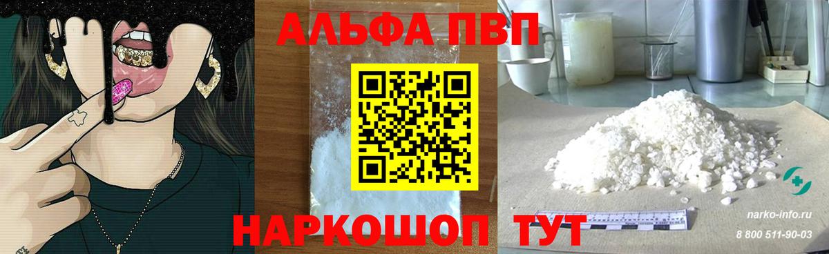 Альфа ПВП СК Новодвинск